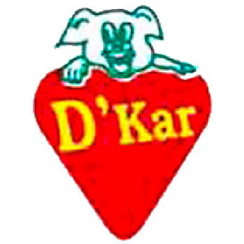 Logo DKAR 2002